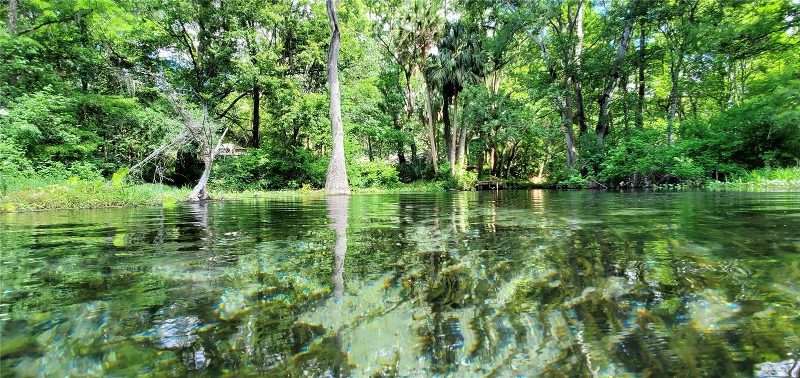 19660 SW 83RD PLACE RD #C16, DUNNELLON, FL — photo 81