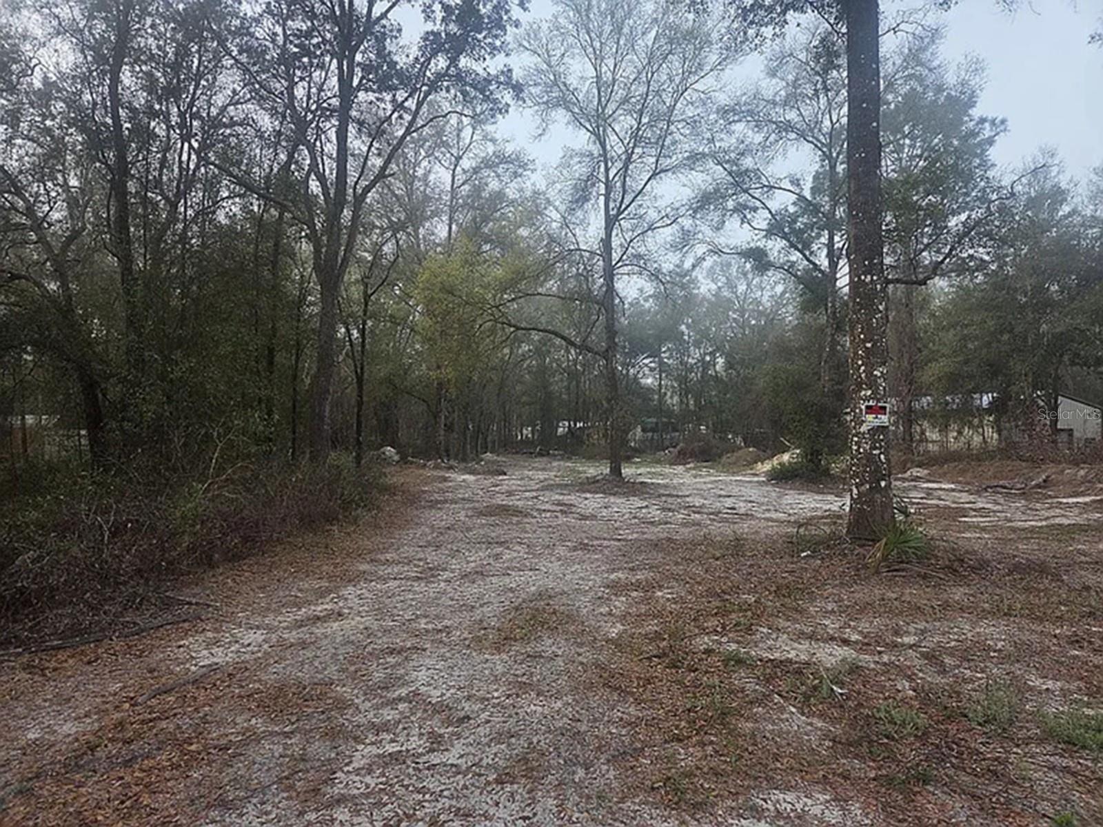 SW 156TH PL, DUNNELLON, FL