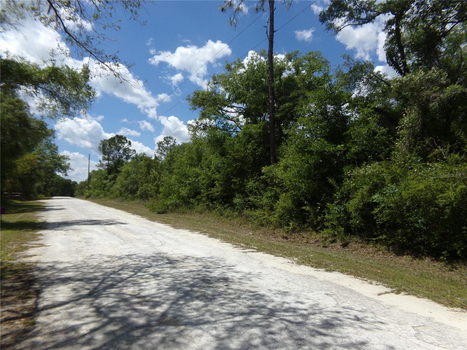 KNOXVILLE DR, WEBSTER, FL — photo 3
