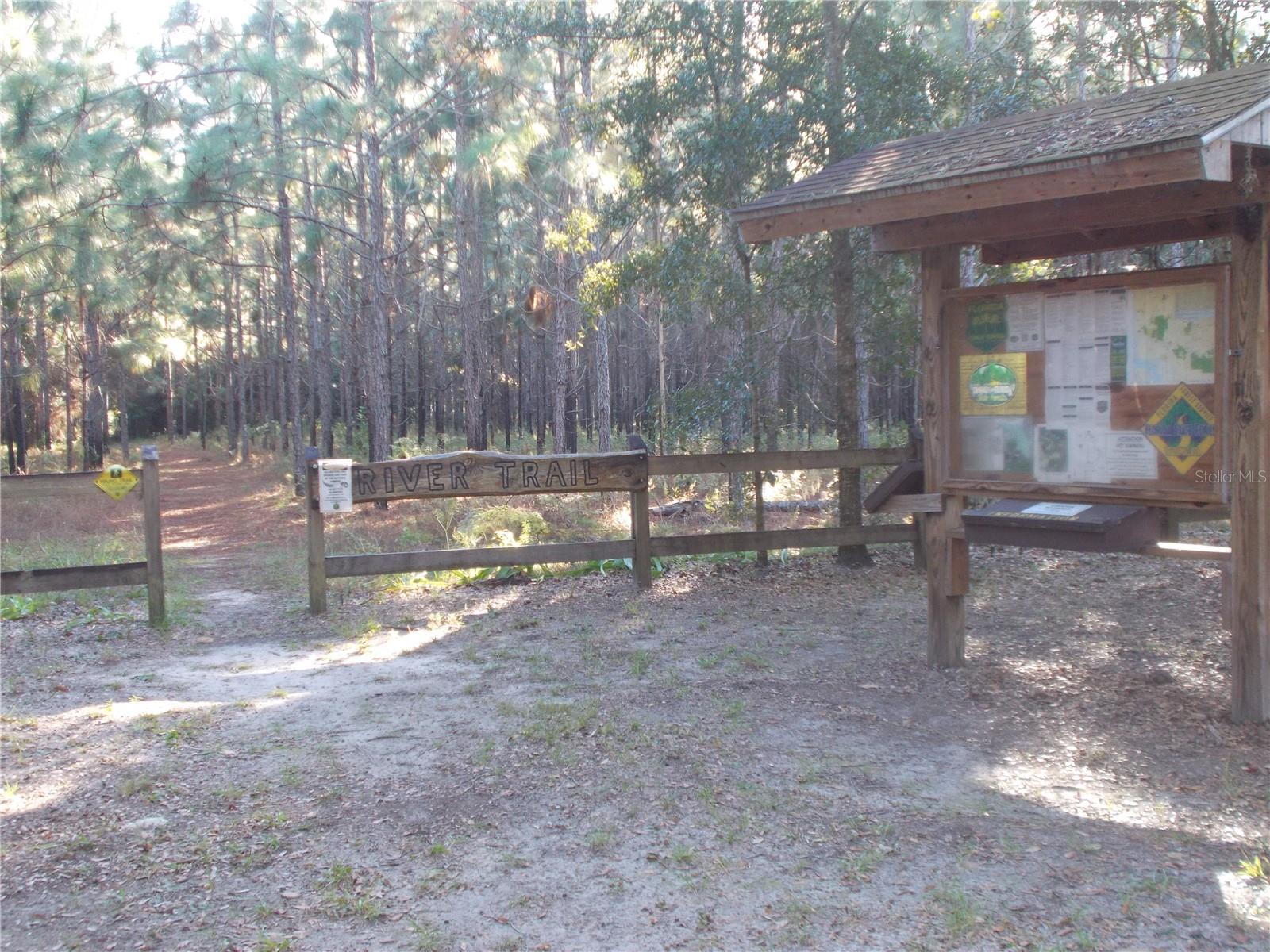 KNOXVILLE DR, WEBSTER, FL — photo 9