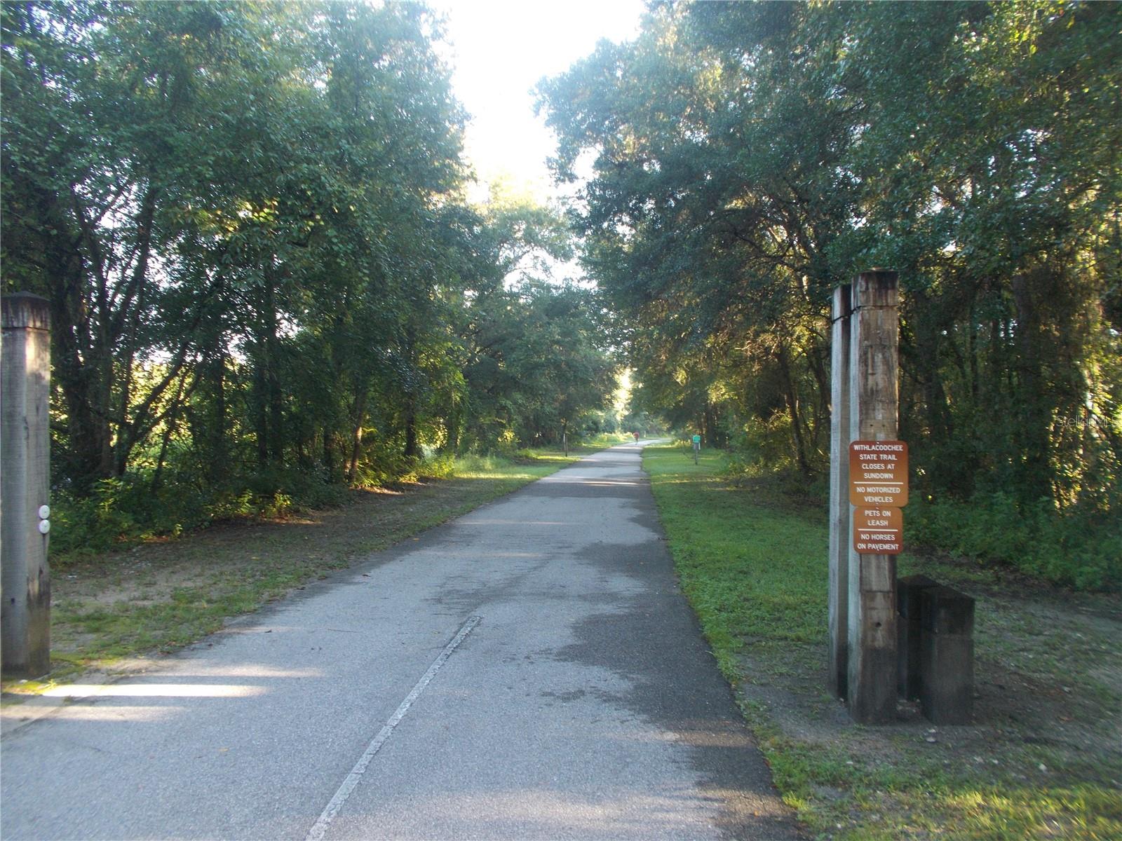 KNOXVILLE DR, WEBSTER, FL — photo 10