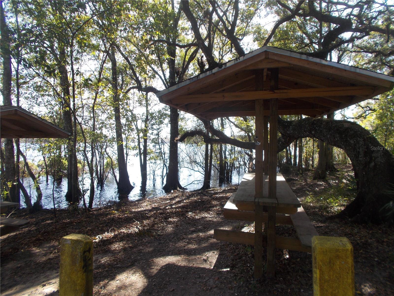 KNOXVILLE DR, WEBSTER, FL — photo 12