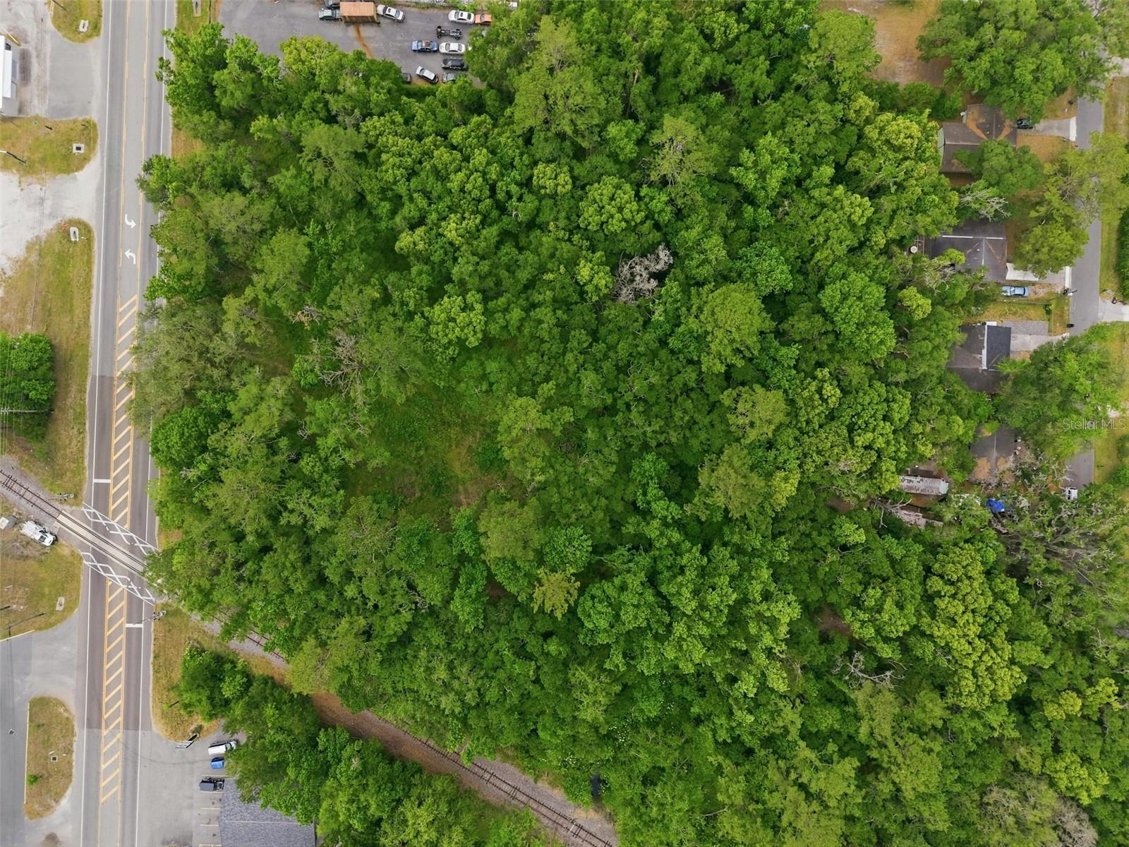 PONCE DE LEON BLVD, BROOKSVILLE, FL — photo 8