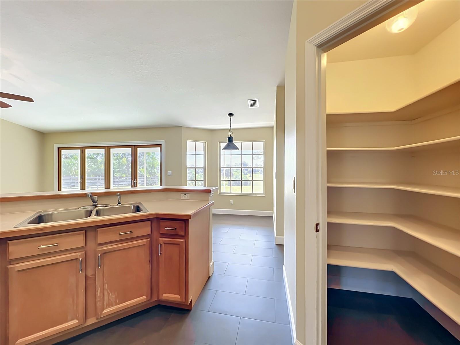 32936 SCENIC HILLS DR, MOUNT DORA, FL — photo 31