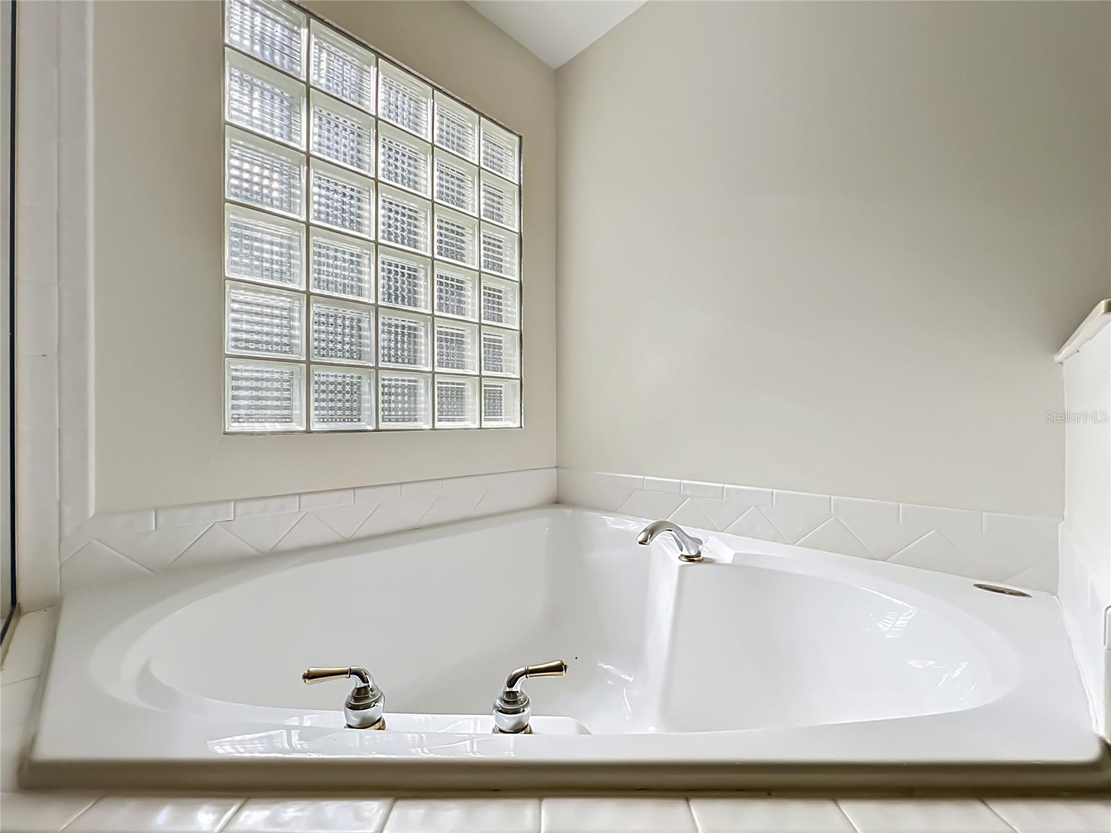32936 SCENIC HILLS DR, MOUNT DORA, FL — photo 43