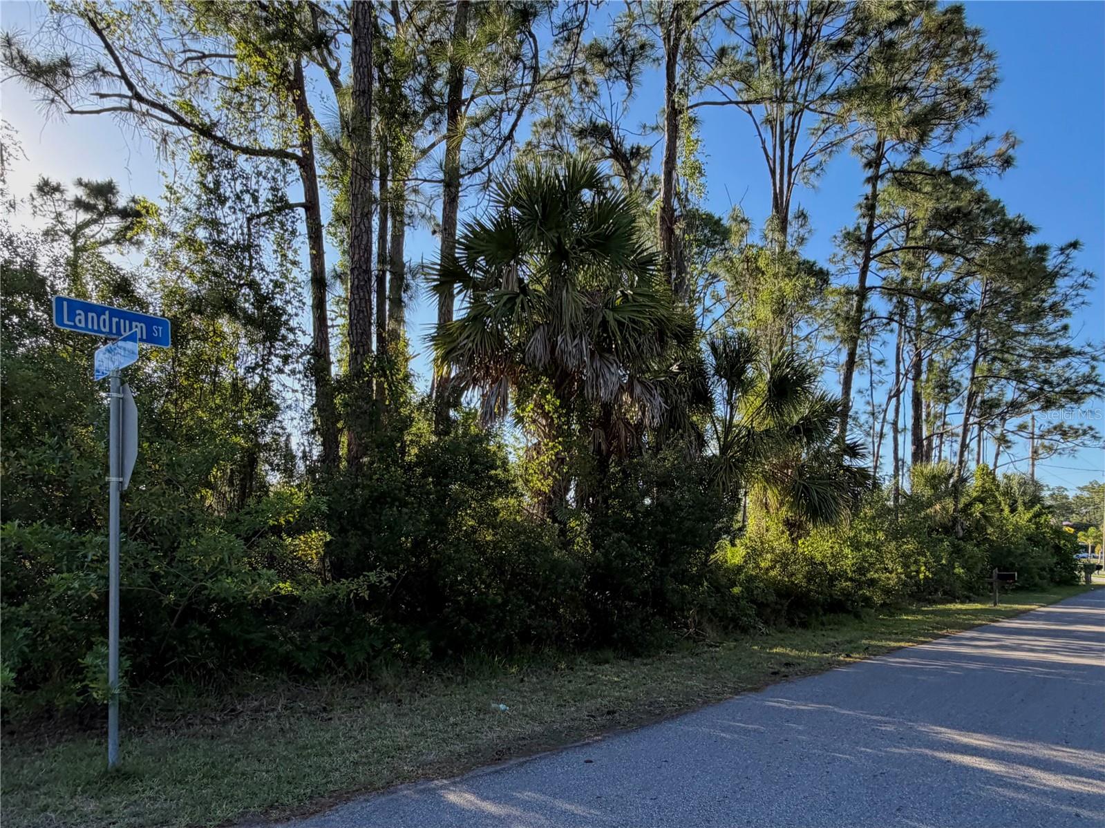SYLVANIA AVE, NORTH PORT, FL — photo 4