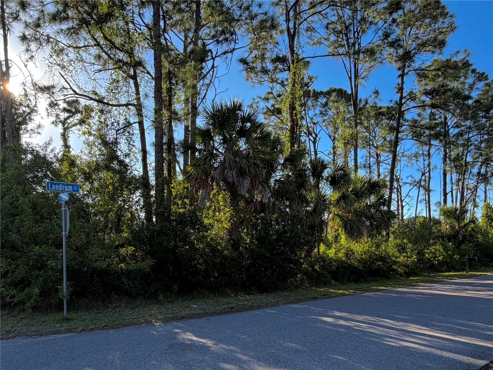 SYLVANIA AVE, NORTH PORT, FL — photo 5