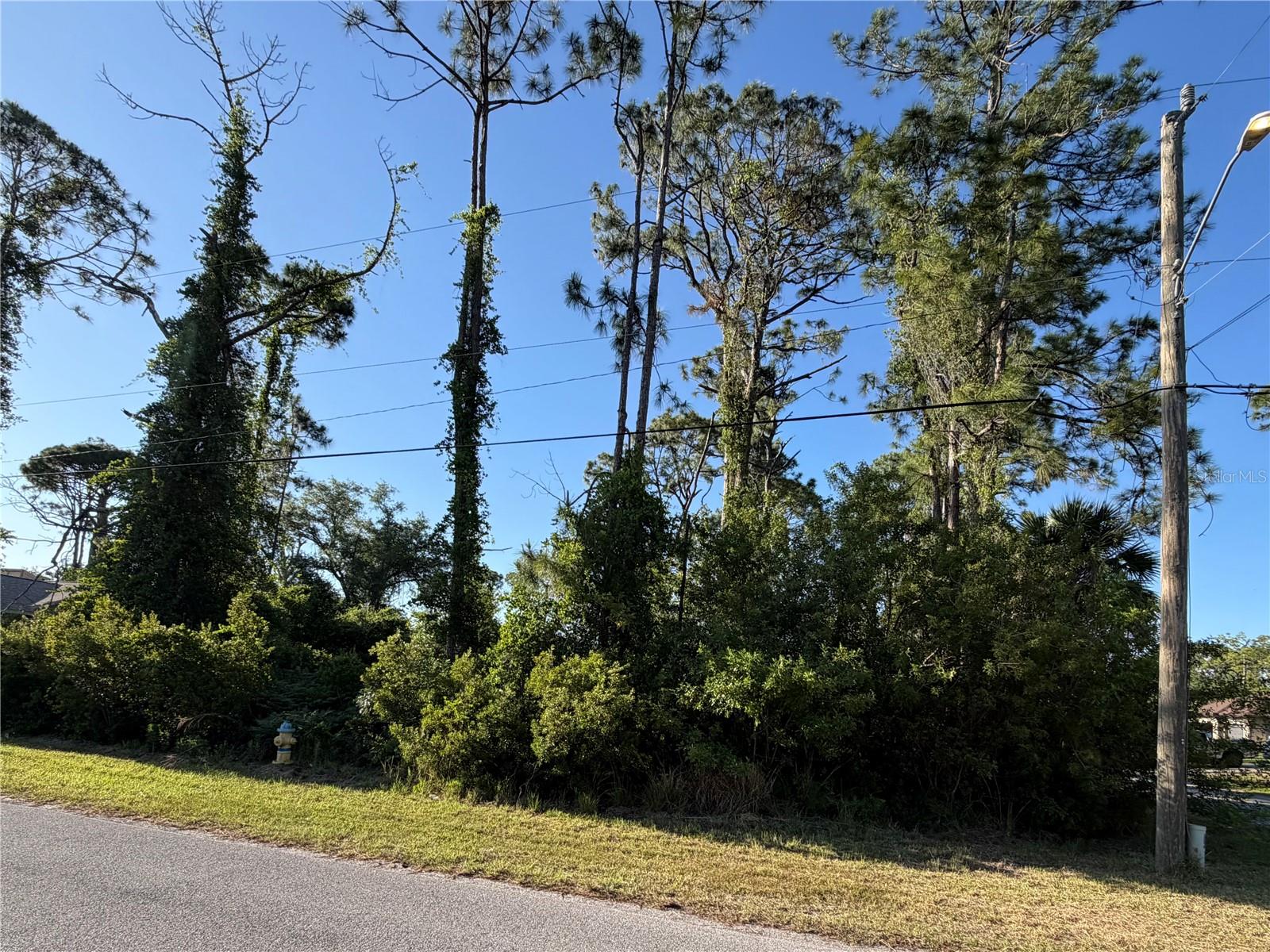 SYLVANIA AVE, NORTH PORT, FL — photo 6