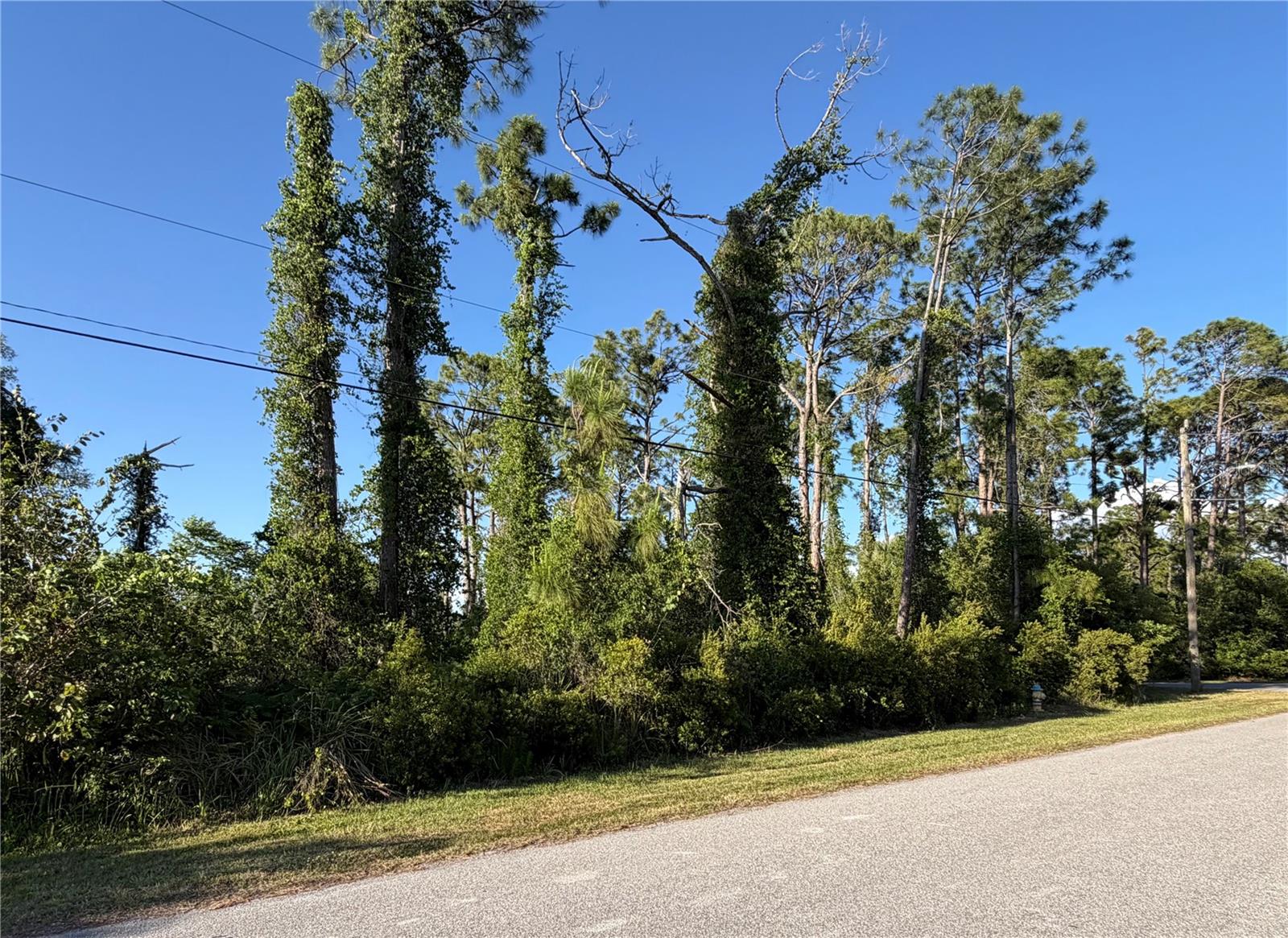 SYLVANIA AVE, NORTH PORT, FL — photo 7
