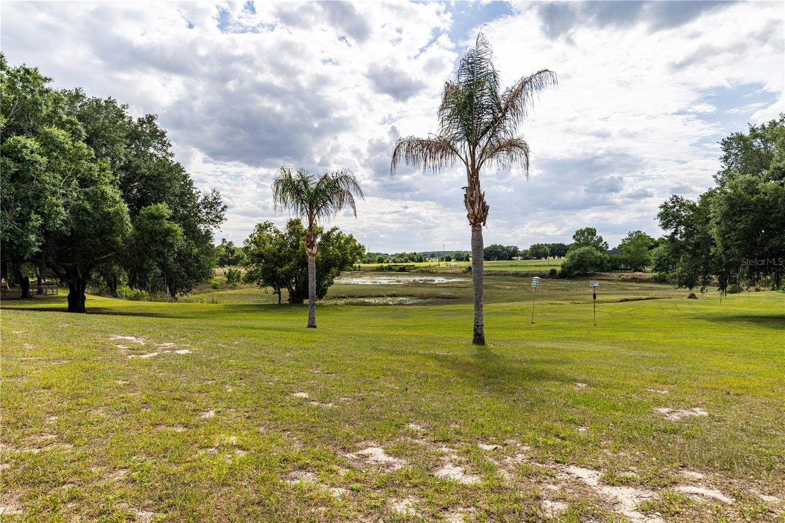 25101 TURKEY LAKE RD, HOWEY IN THE HILLS, FL — photo 102
