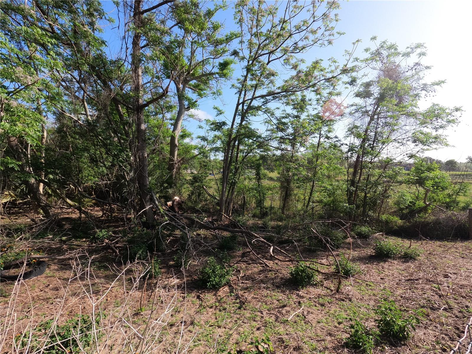 0 EARTH STAR LN, GROVELAND, FL