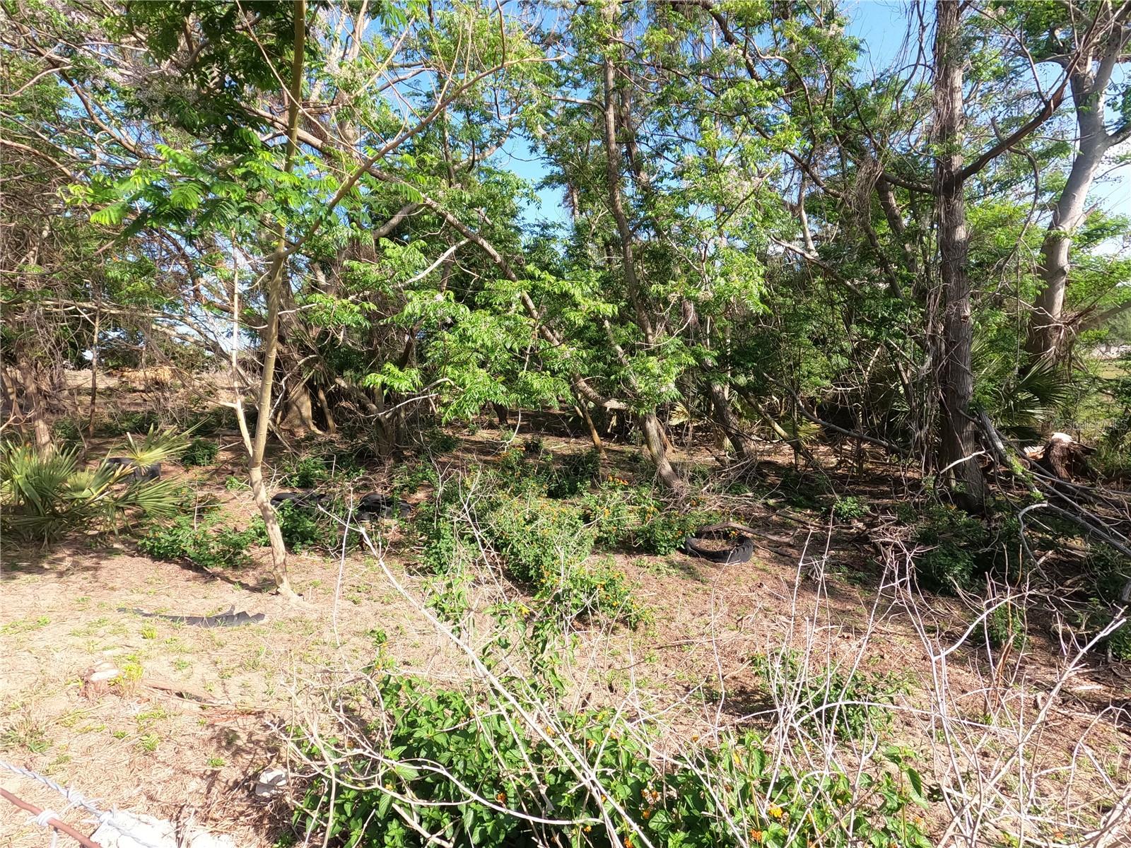 0 EARTH STAR LN, GROVELAND, FL — photo 5