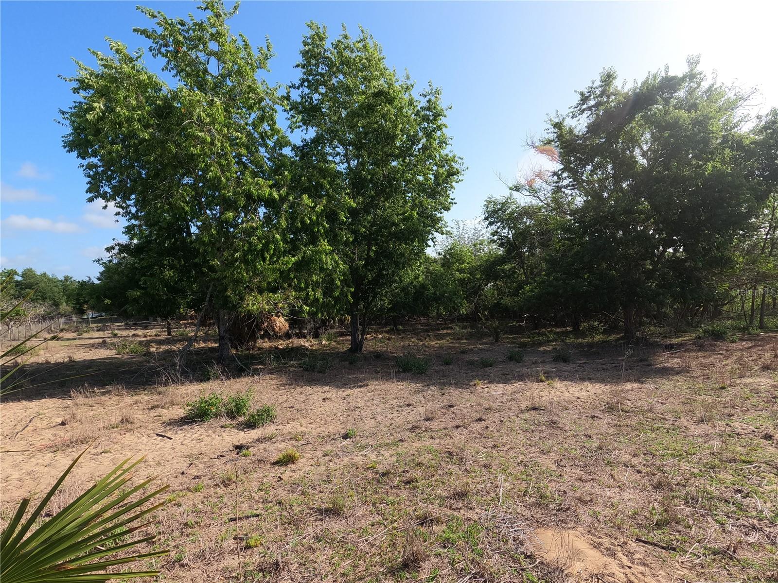 0 EARTH STAR LN, GROVELAND, FL — photo 9