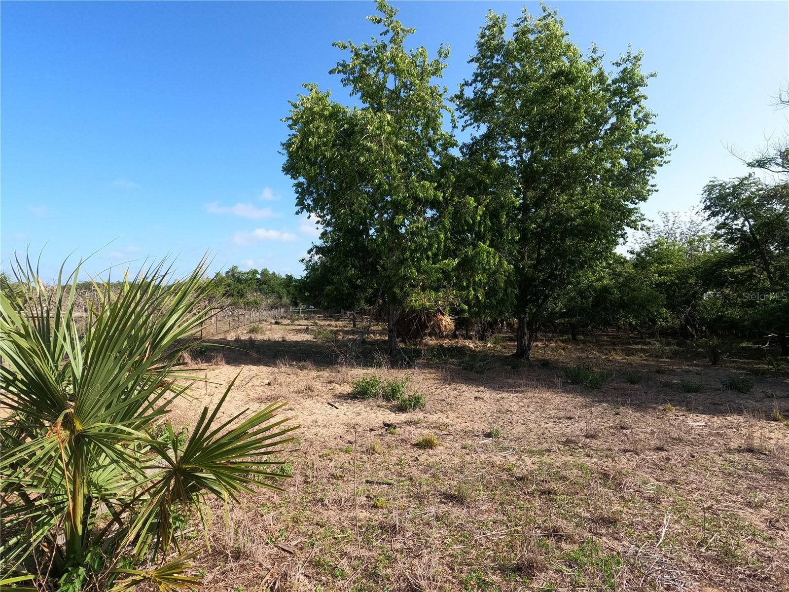0 EARTH STAR LN, GROVELAND, FL — photo 12