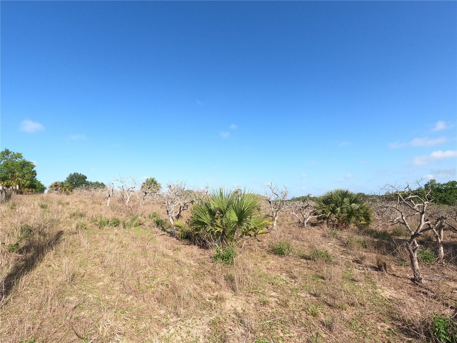 0 EARTH STAR LN, GROVELAND, FL — photo 13