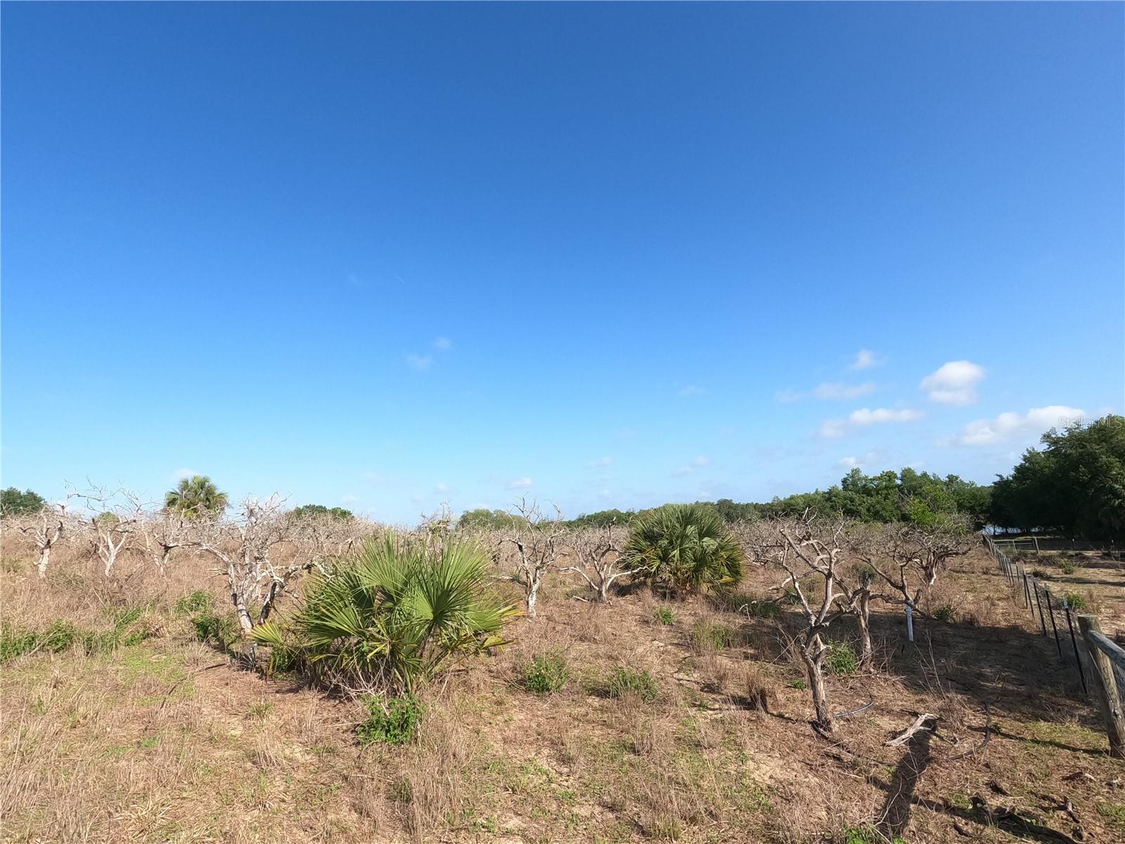 0 EARTH STAR LN, GROVELAND, FL — photo 16