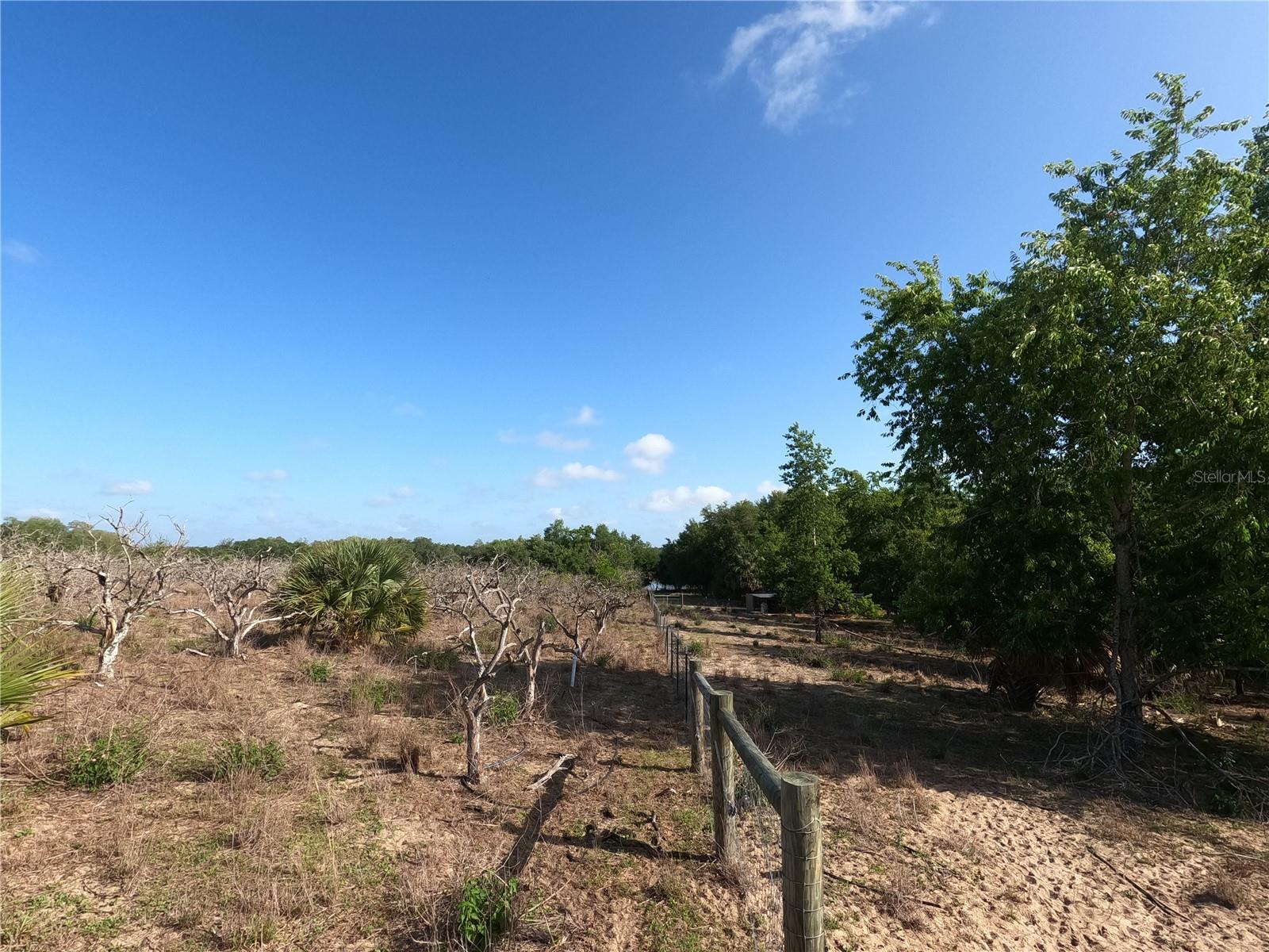 0 EARTH STAR LN, GROVELAND, FL — photo 18
