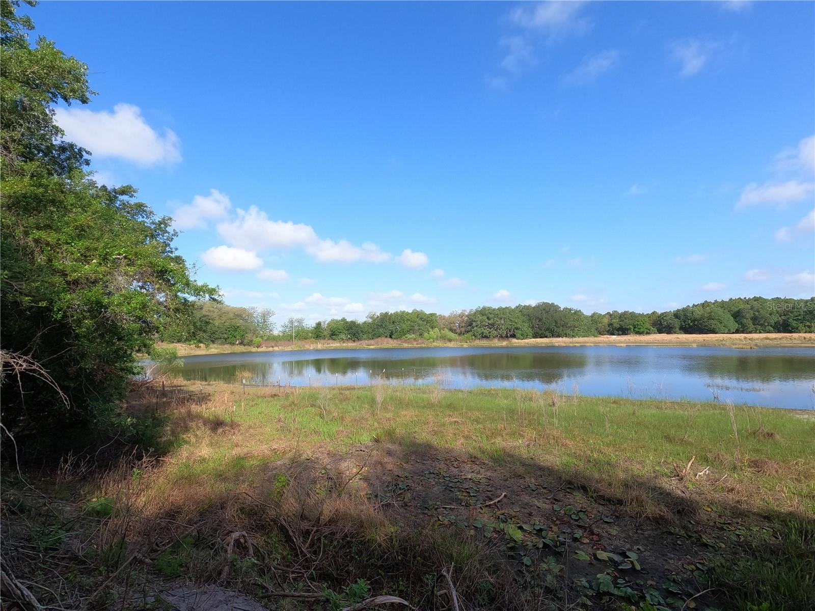 0 EARTH STAR LN, GROVELAND, FL — photo 25