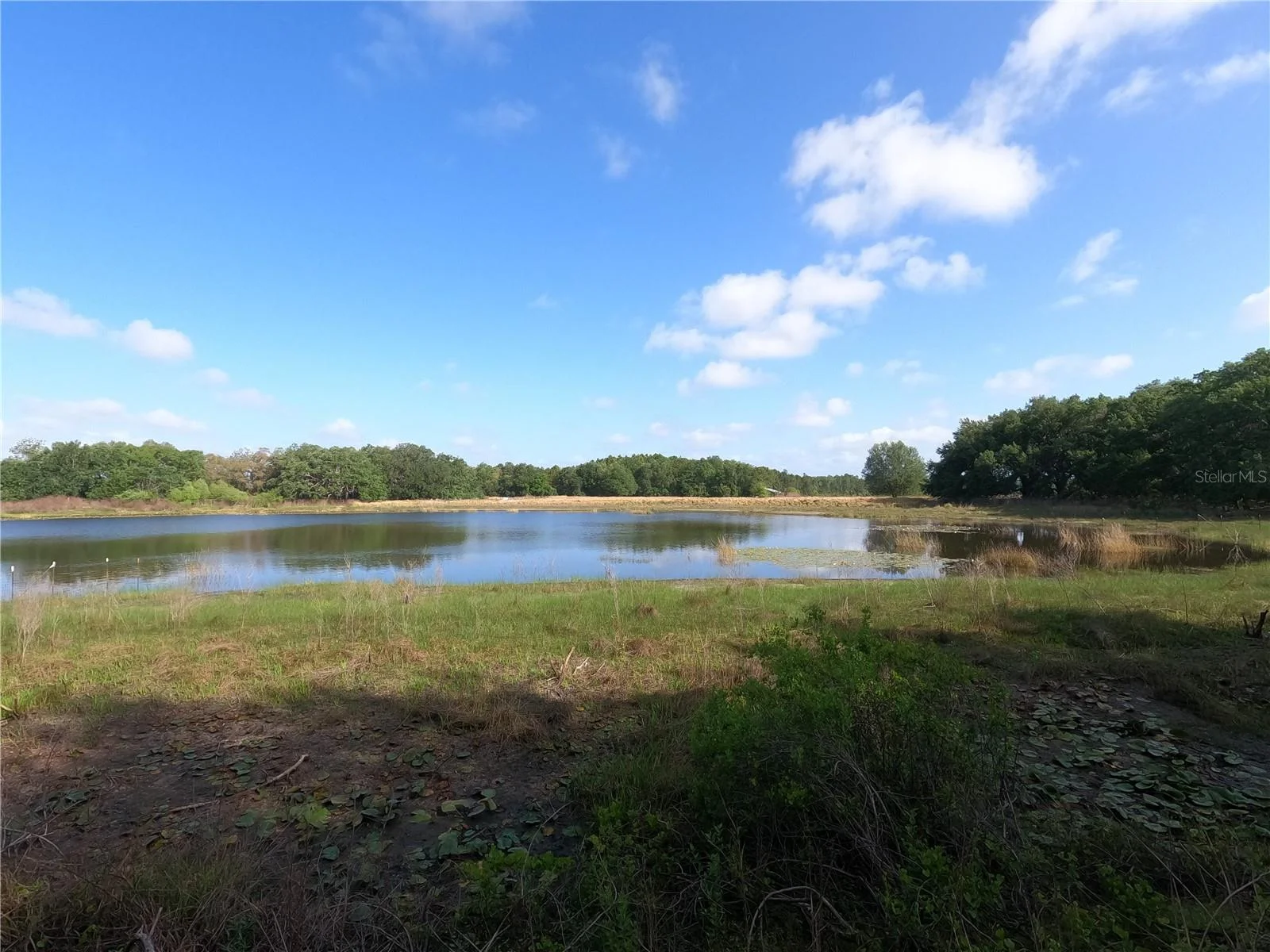 0 EARTH STAR LN, GROVELAND, FL — photo 27