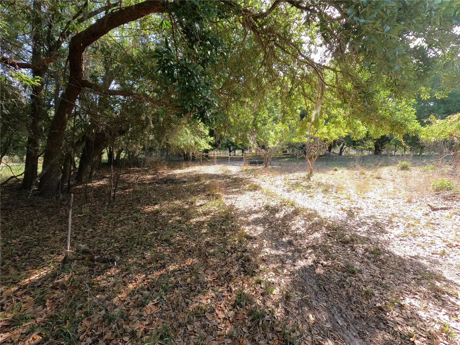 0 EARTH STAR LN, GROVELAND, FL — photo 32
