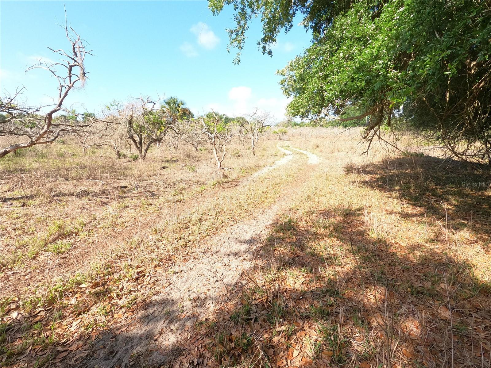 0 EARTH STAR LN, GROVELAND, FL — photo 35