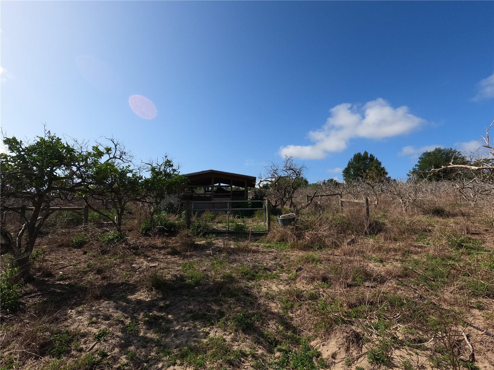 0 EARTH STAR LN, GROVELAND, FL — photo 37