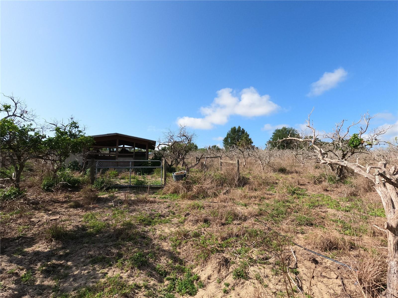 0 EARTH STAR LN, GROVELAND, FL — photo 39