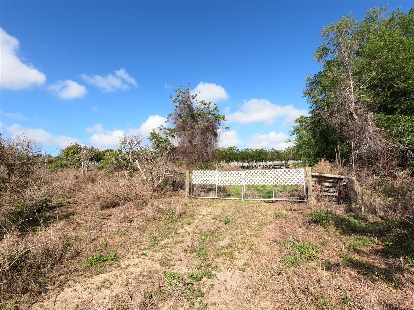 0 EARTH STAR LN, GROVELAND, FL — photo 42