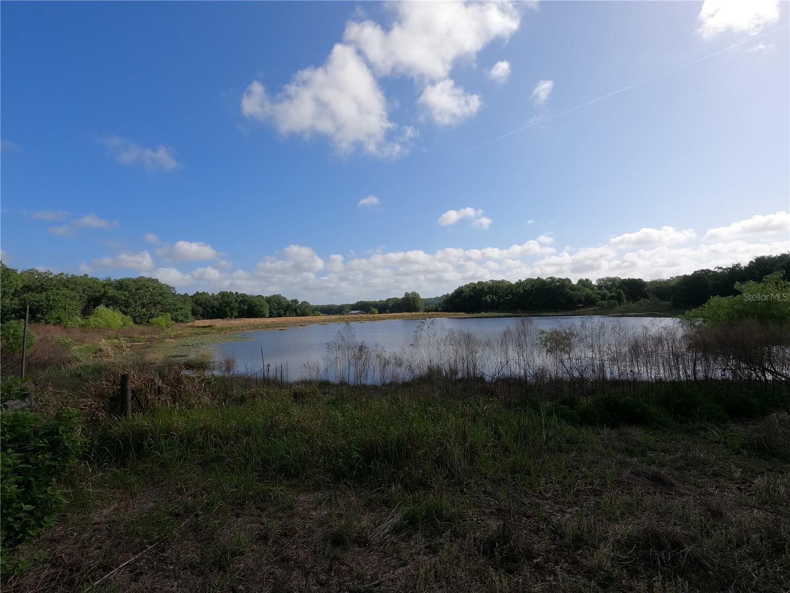 0 EARTH STAR LN, GROVELAND, FL — photo 44