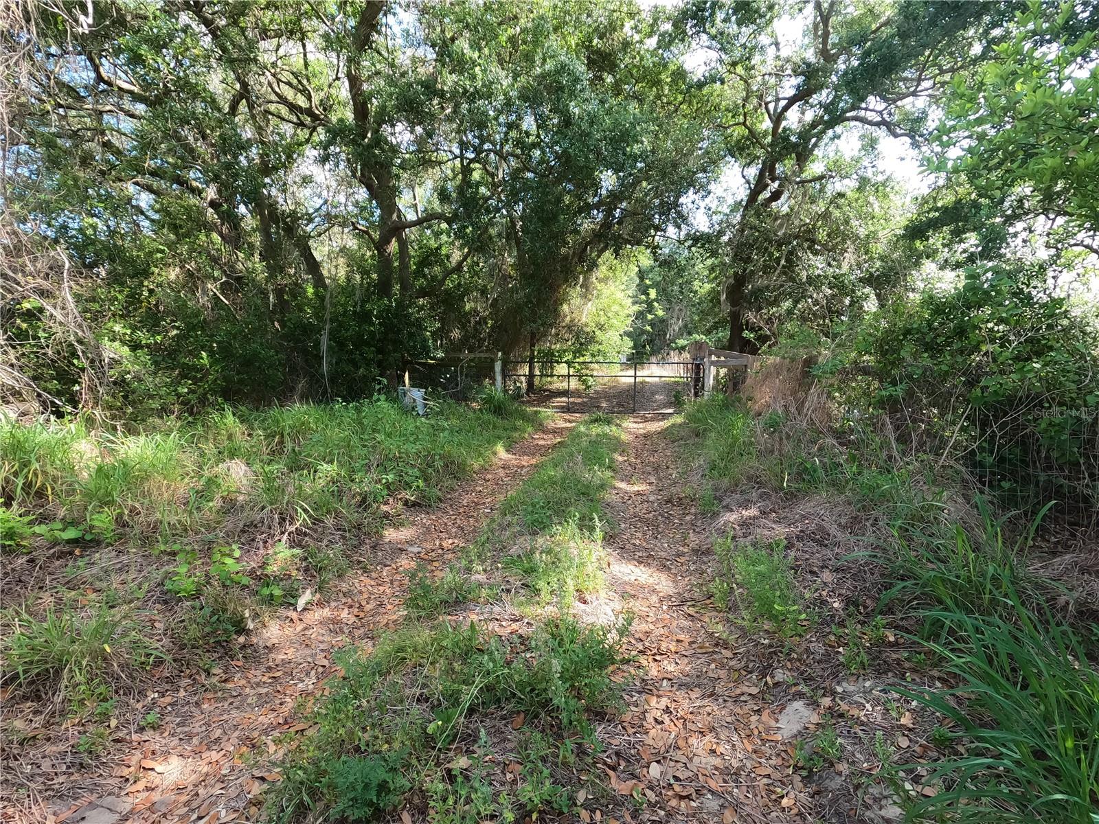 0 EARTH STAR LN, GROVELAND, FL — photo 45