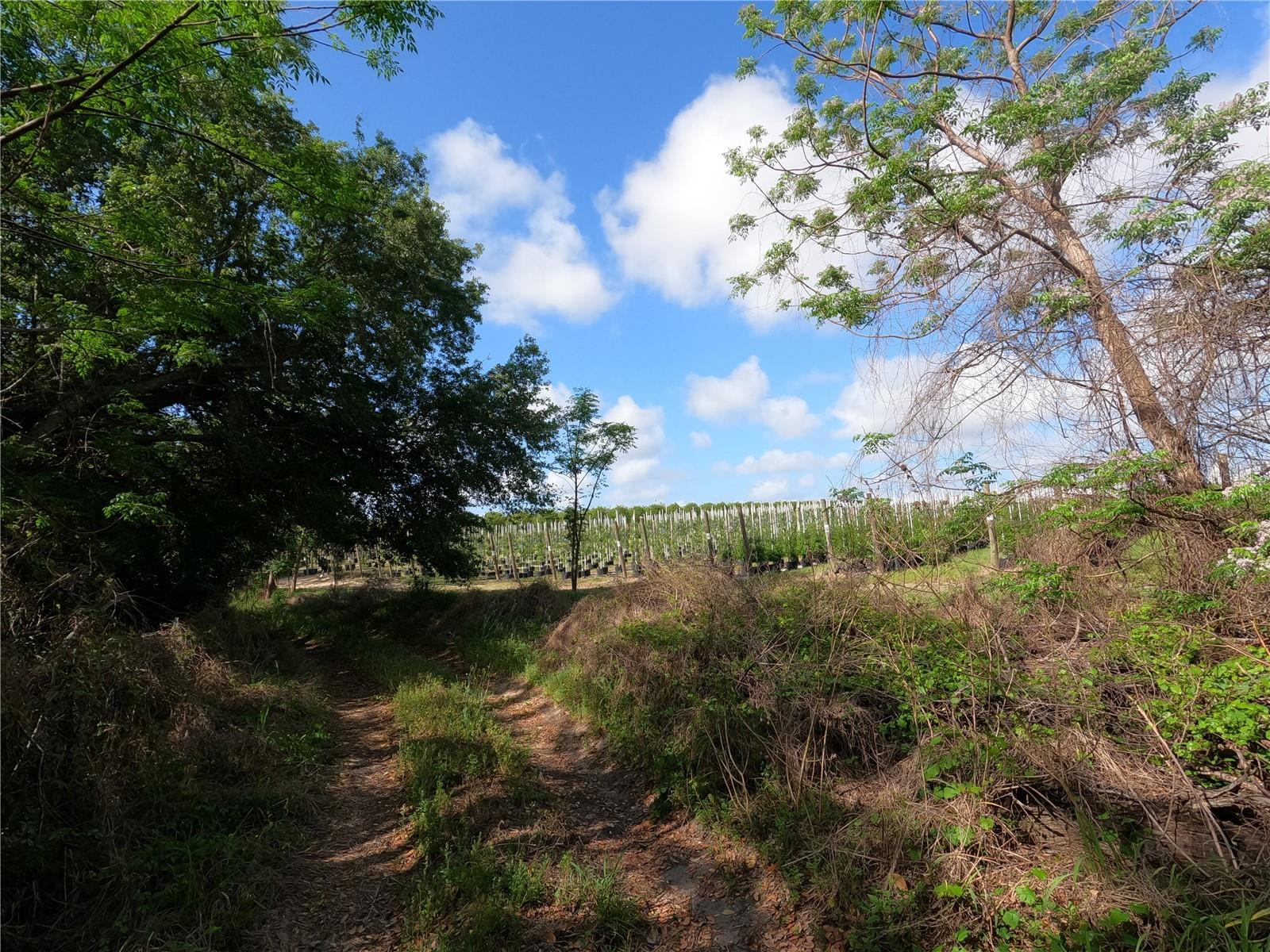 0 EARTH STAR LN, GROVELAND, FL — photo 48