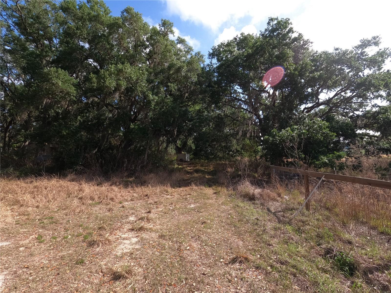 0 EARTH STAR LN, GROVELAND, FL — photo 49