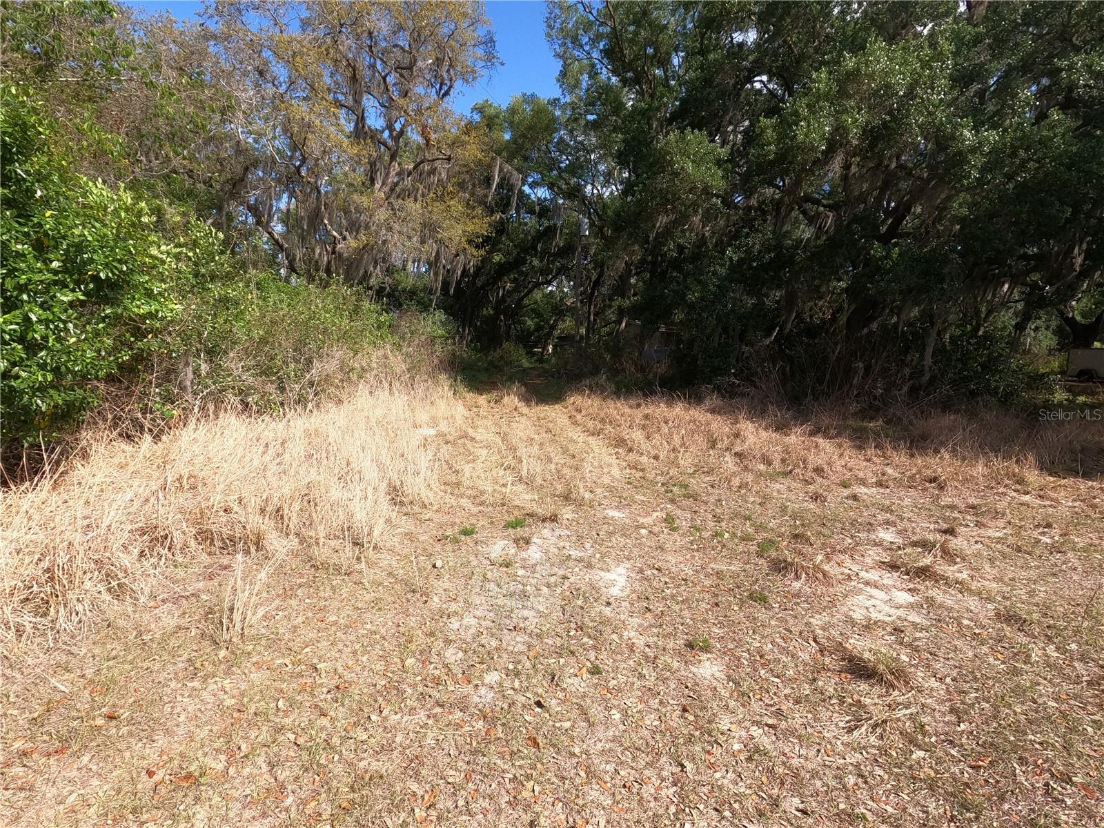 0 EARTH STAR LN, GROVELAND, FL — photo 52