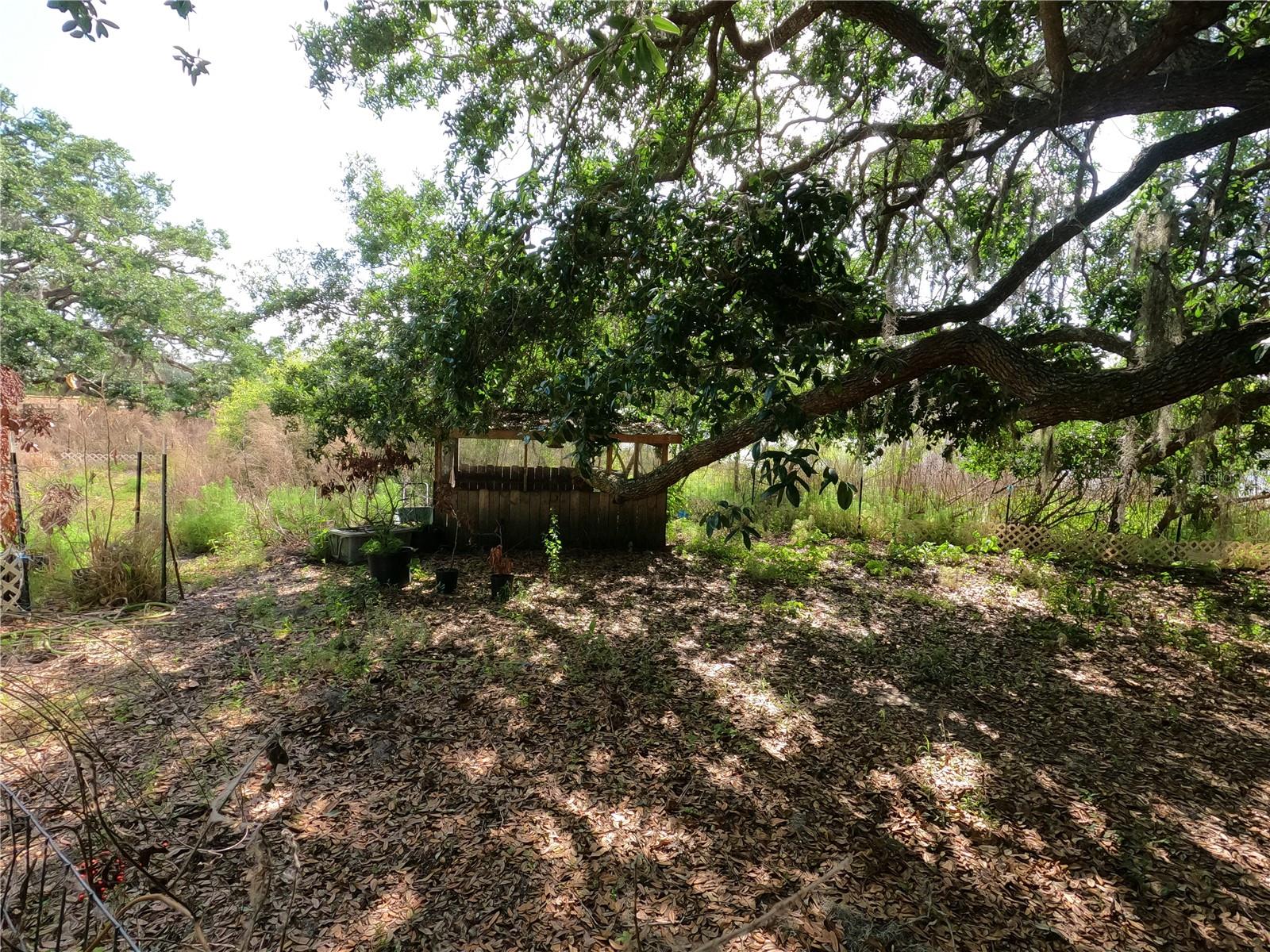 0 EARTH STAR LN, GROVELAND, FL — photo 88