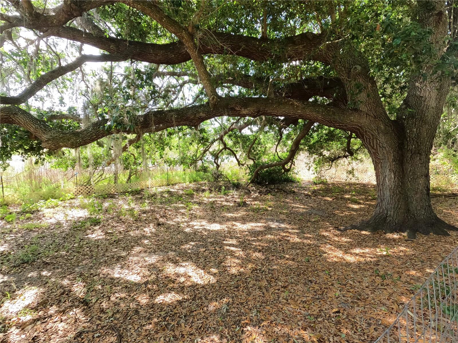 0 EARTH STAR LN, GROVELAND, FL — photo 90