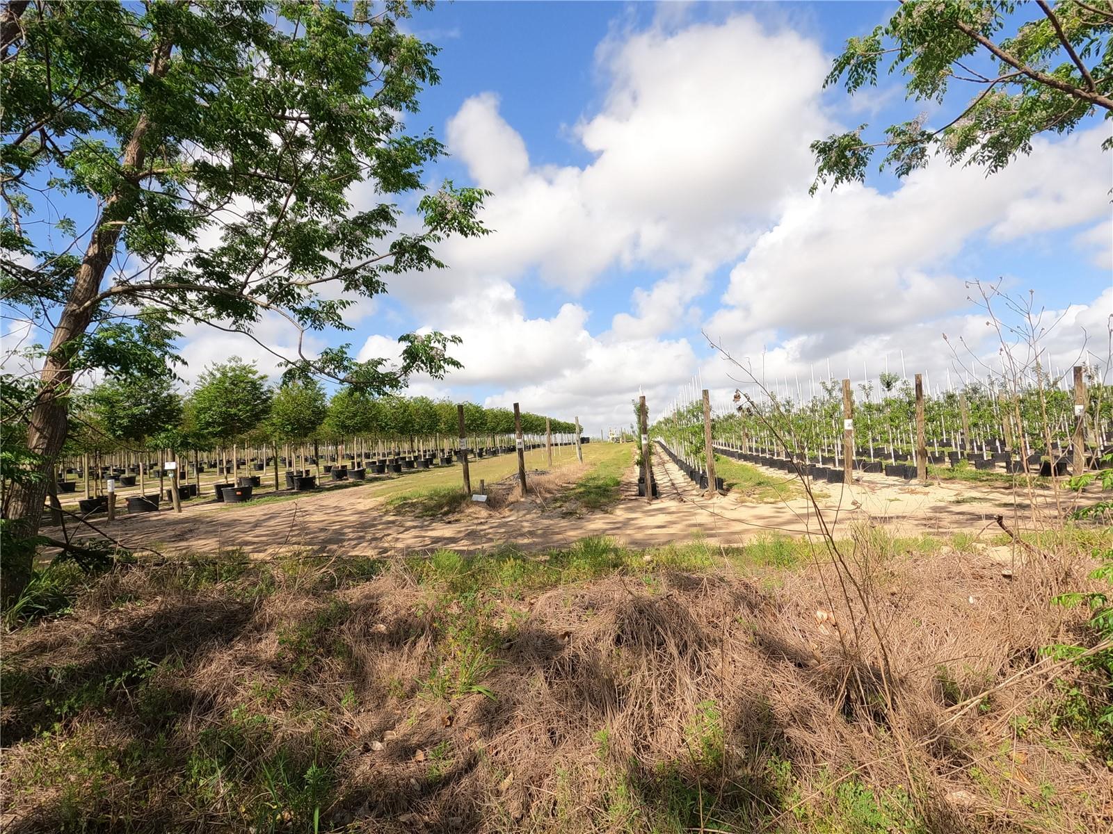 0 EARTH STAR LN, GROVELAND, FL — photo 94