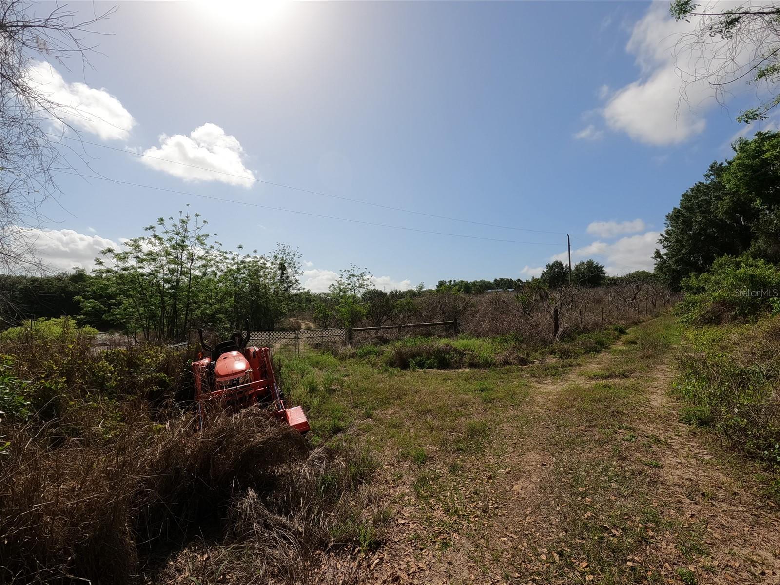0 EARTH STAR LN, GROVELAND, FL — photo 98