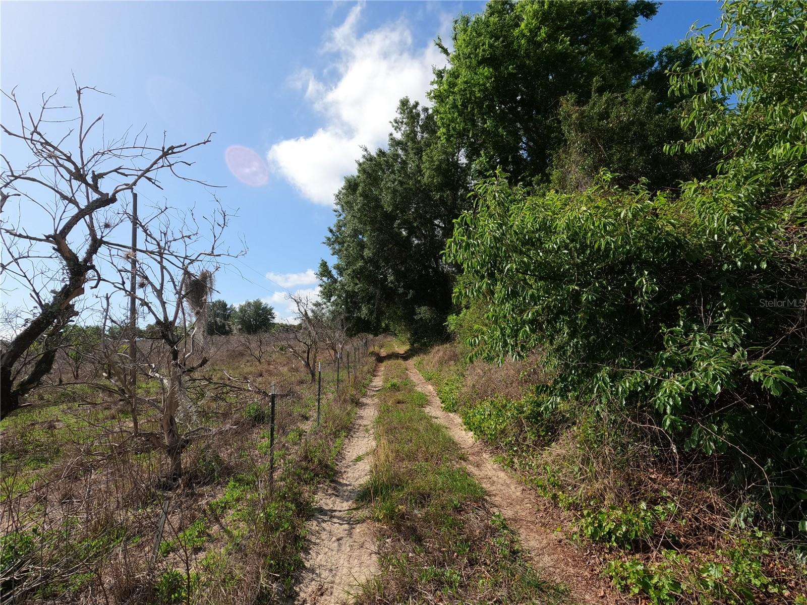 0 EARTH STAR LN, GROVELAND, FL — photo 100