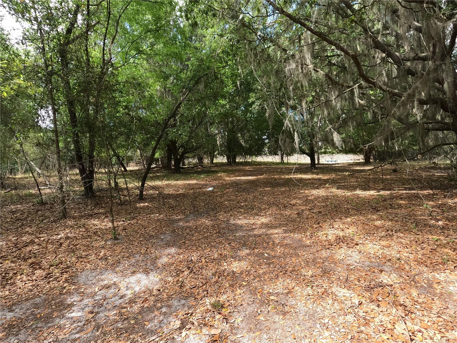 0 EARTH STAR LN, GROVELAND, FL — photo 104