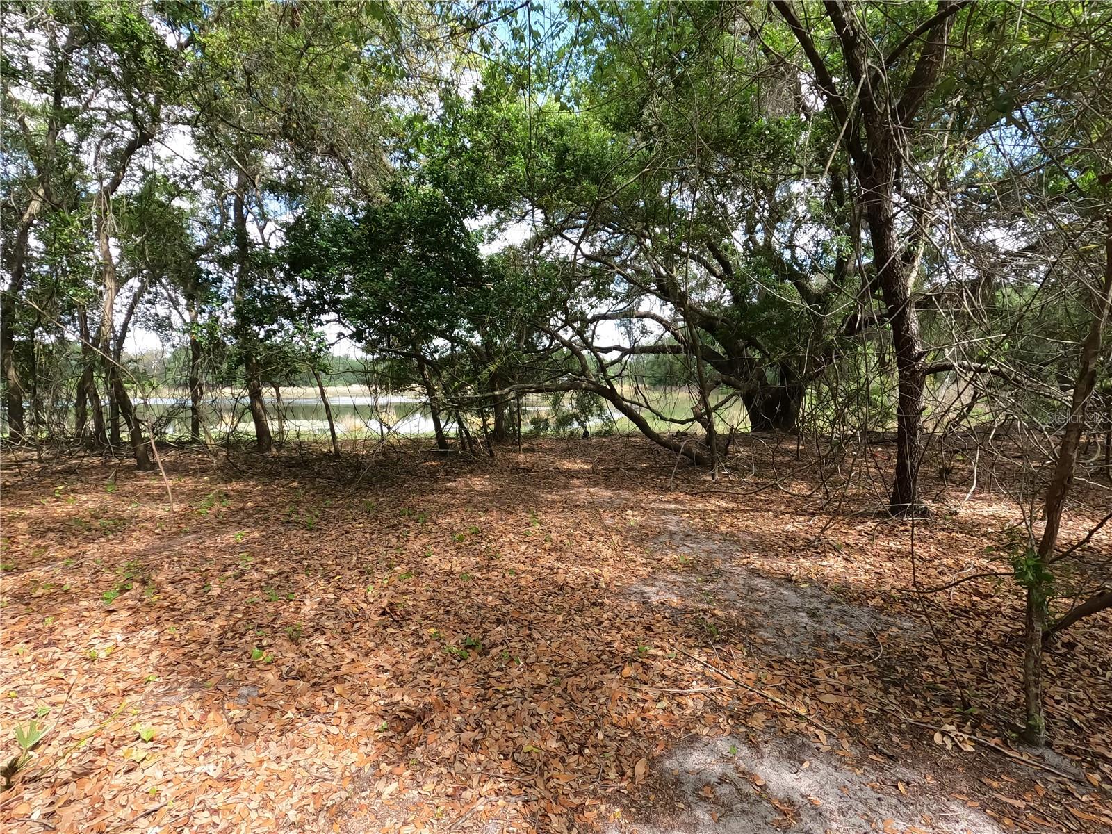 0 EARTH STAR LN, GROVELAND, FL — photo 106