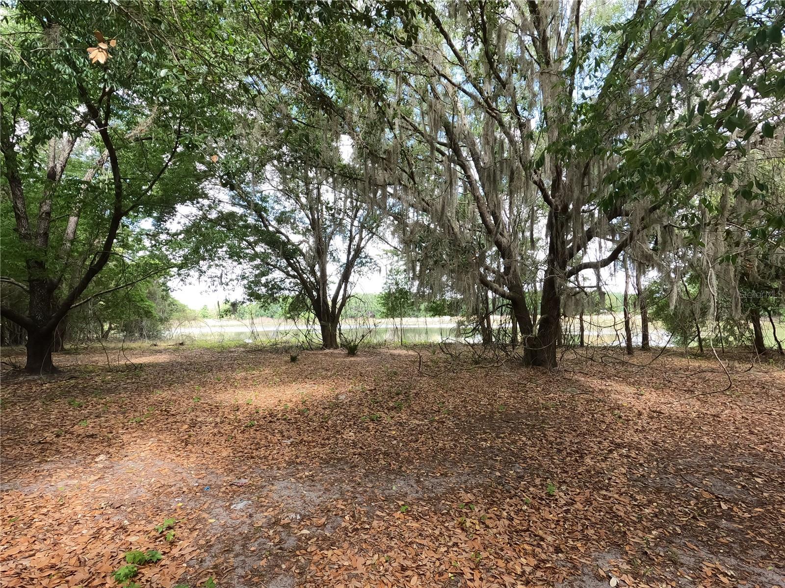 0 EARTH STAR LN, GROVELAND, FL — photo 110
