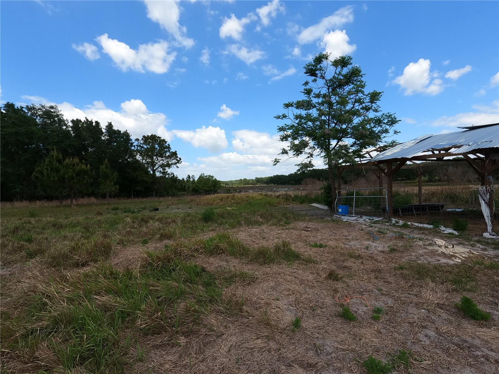 0 EARTH STAR LN, GROVELAND, FL — photo 138