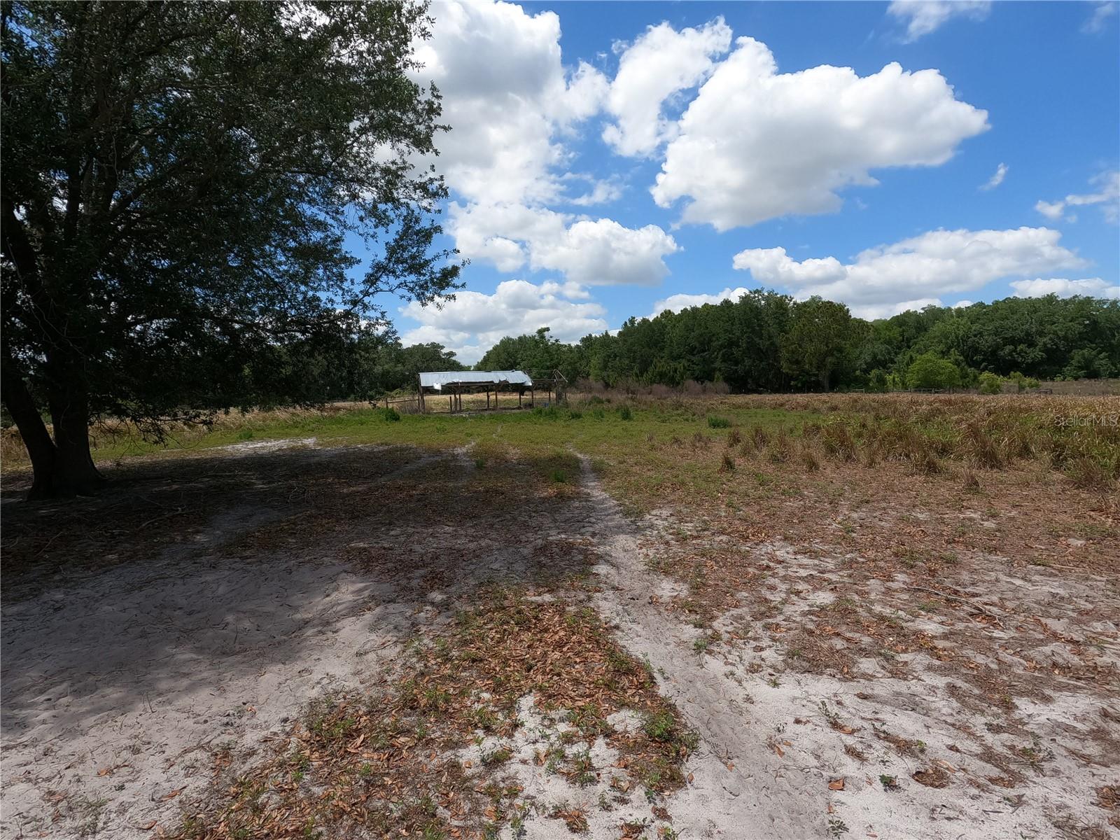 0 EARTH STAR LN, GROVELAND, FL — photo 144