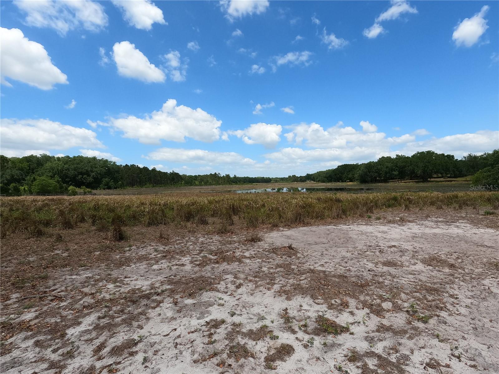 0 EARTH STAR LN, GROVELAND, FL — photo 146