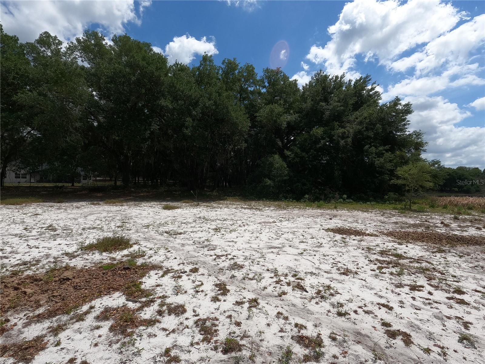 0 EARTH STAR LN, GROVELAND, FL — photo 149