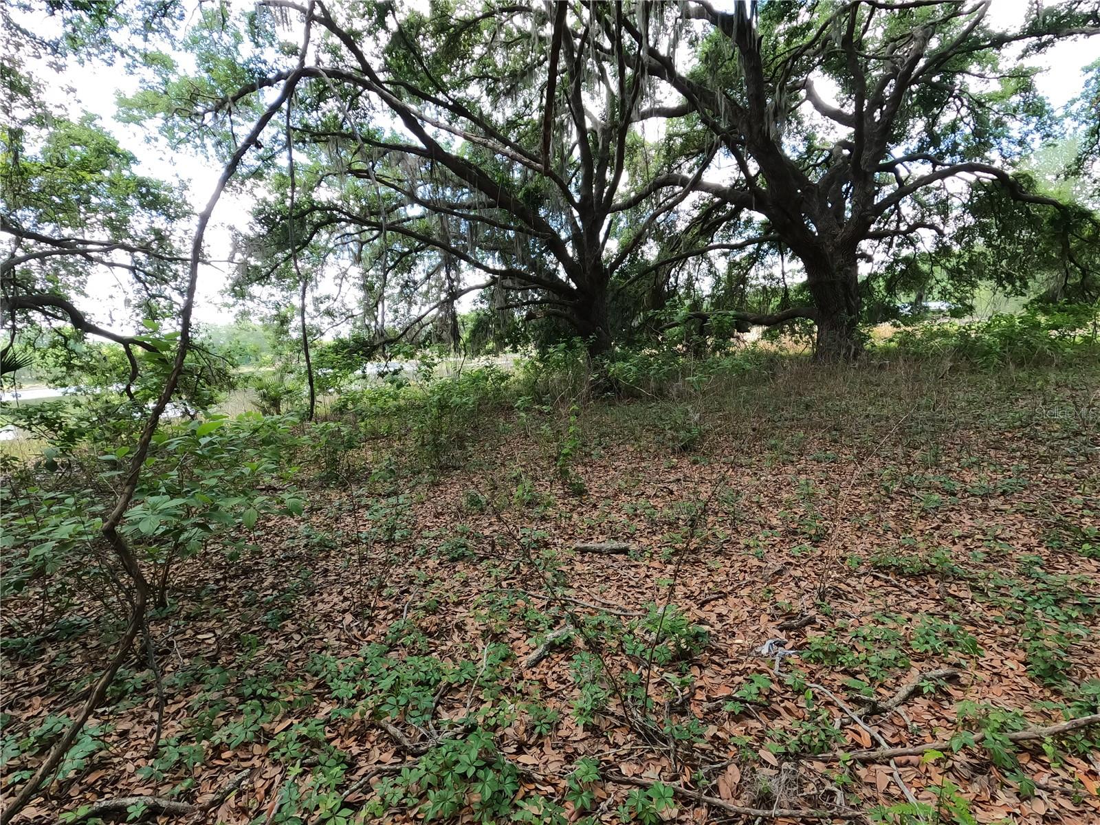0 EARTH STAR LN, GROVELAND, FL — photo 153