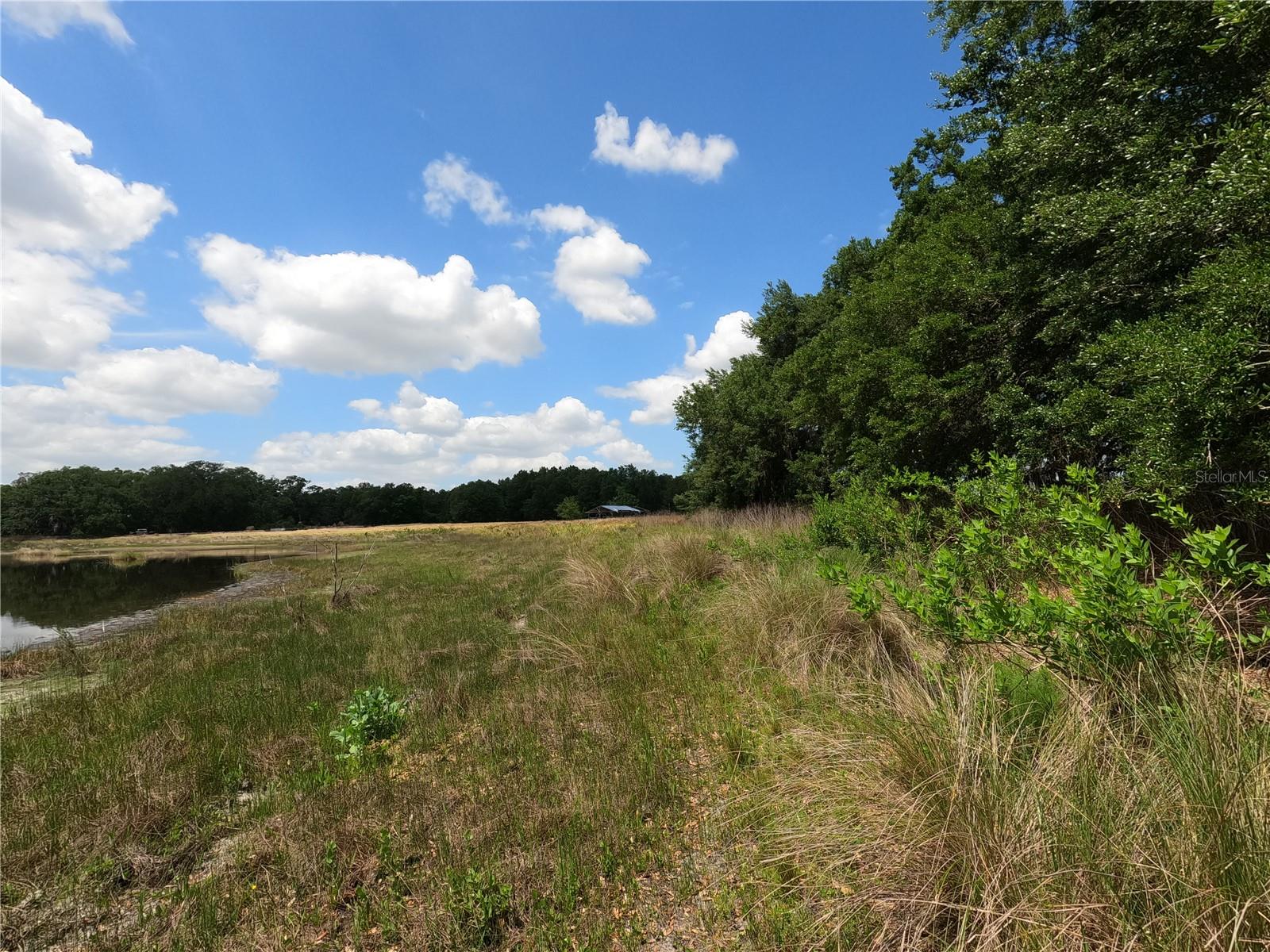 0 EARTH STAR LN, GROVELAND, FL — photo 155