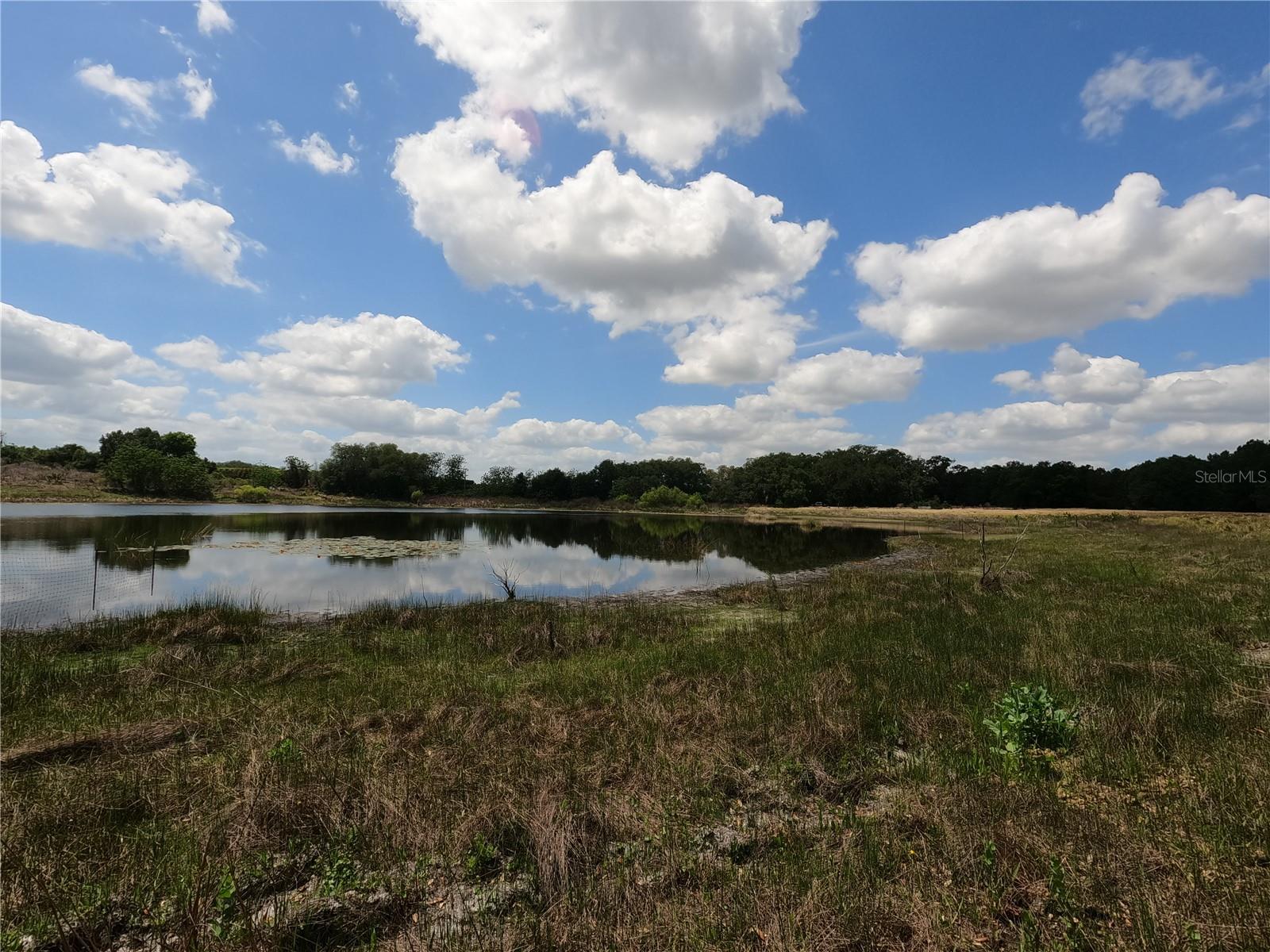 0 EARTH STAR LN, GROVELAND, FL — photo 157