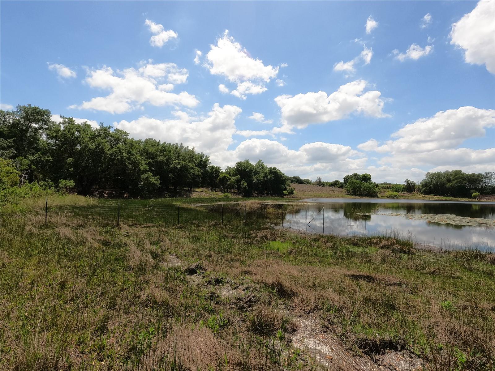 0 EARTH STAR LN, GROVELAND, FL — photo 158