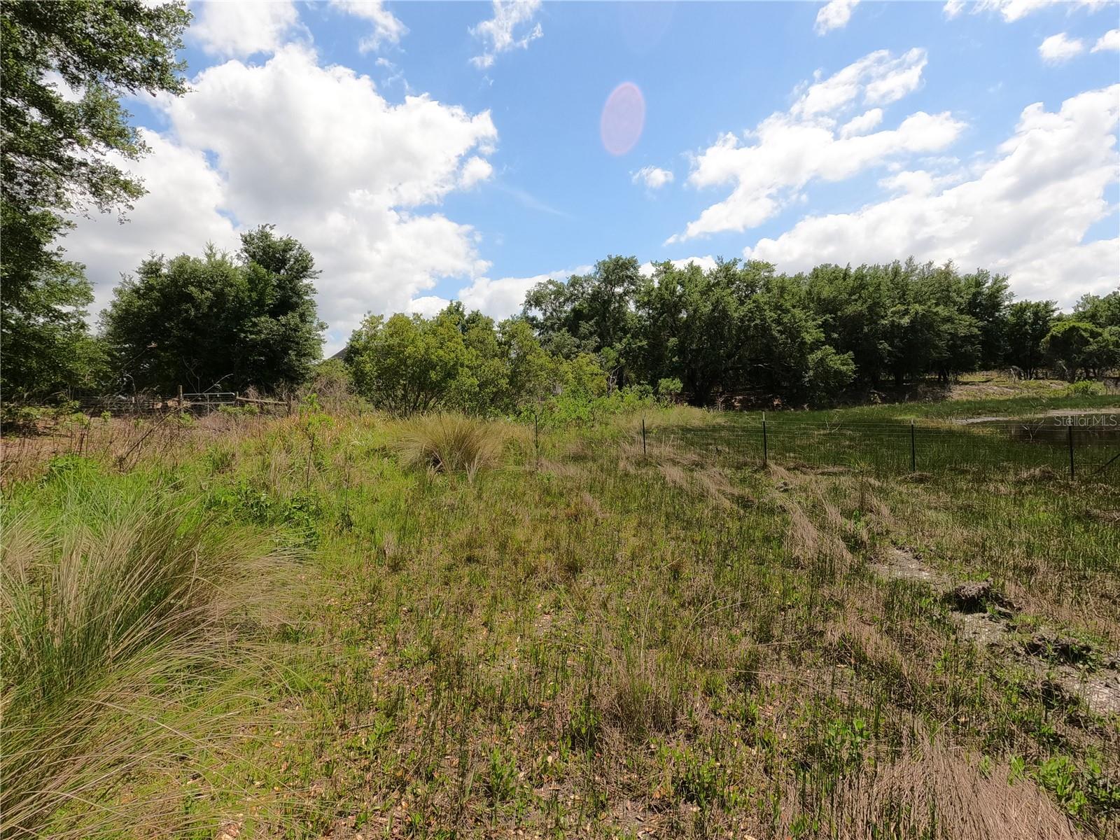 0 EARTH STAR LN, GROVELAND, FL — photo 161